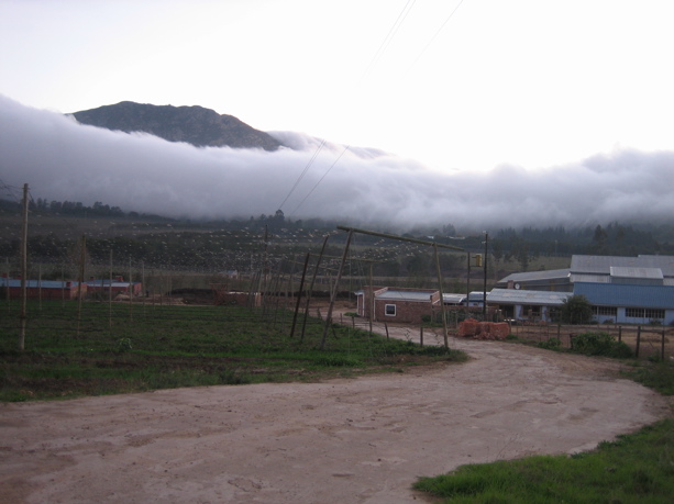Nebelhexe am Outeniqua Pass