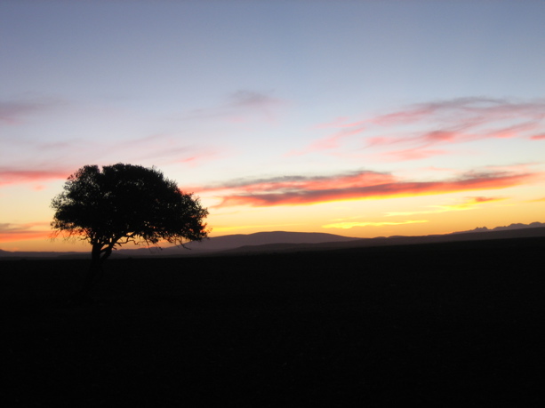 Abendstimmung in der Kleinen Karoo