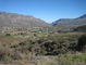 Montagu