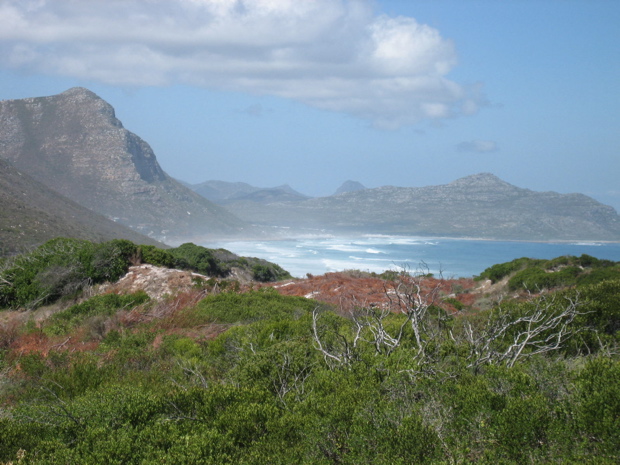 Traumbucht