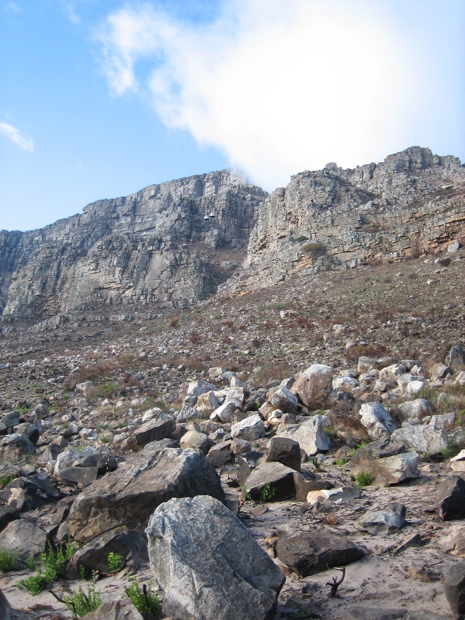 Tablemountain aus der N&auml;he