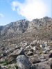 Tablemountain aus der N&auml;he