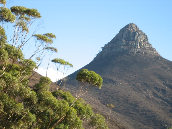 Lionshead