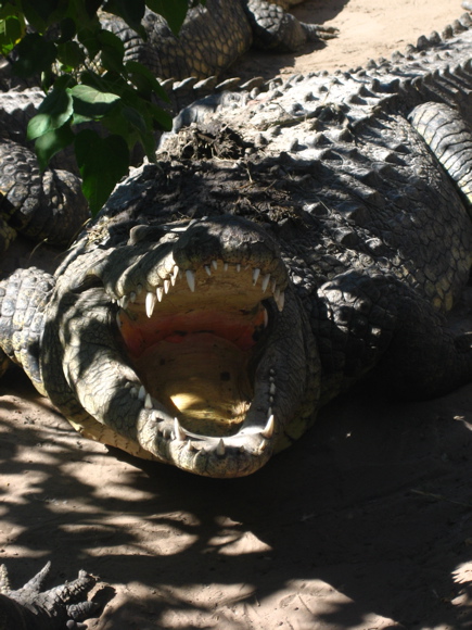 Temperaturregulierung