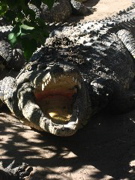 Temperaturregulierung