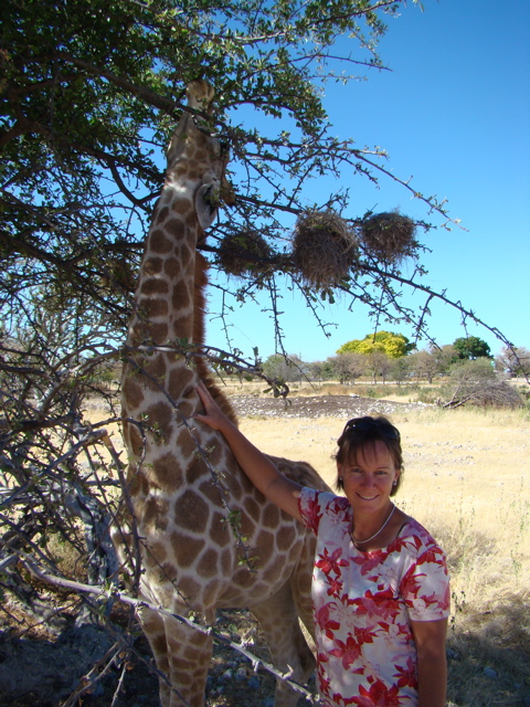 zahmes Giraffenkind