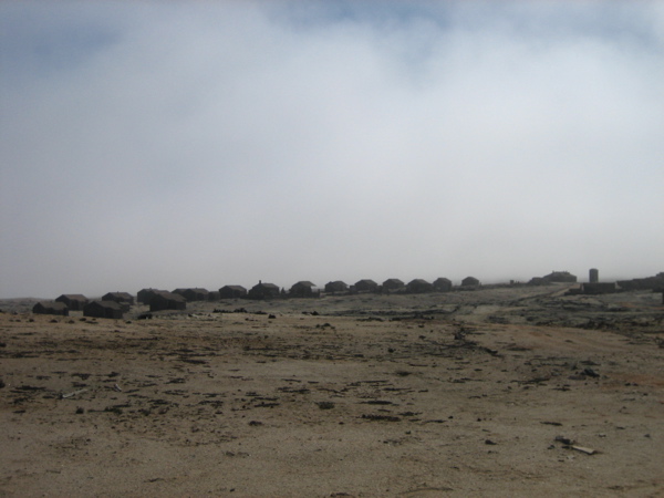 Elisabeth Bay im Nebel