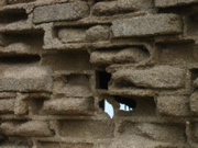 Winderosion