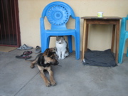 Miro & Rudi