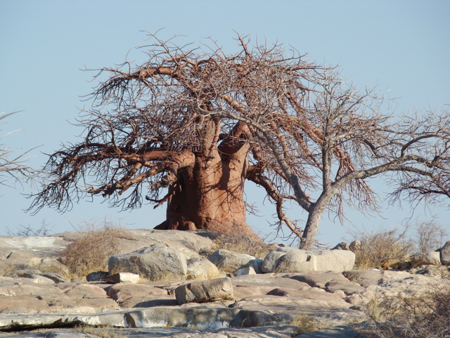Kubu Island 2