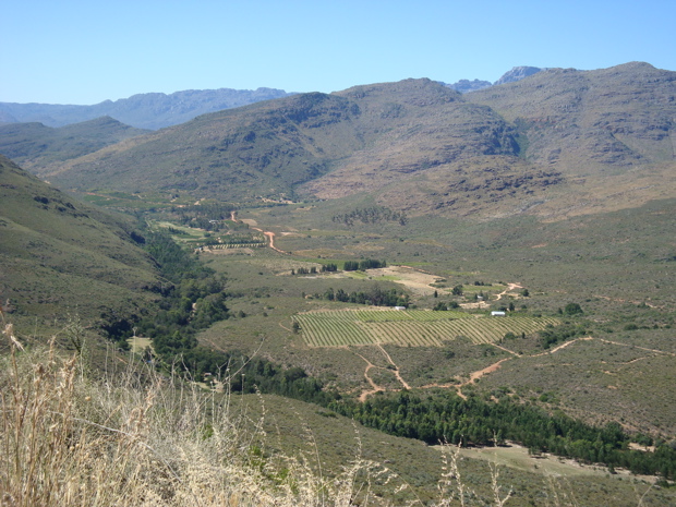 Cedarberge