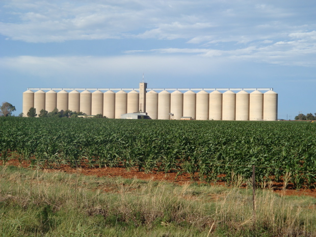 Getreidesilos