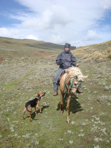 Miro un Pony