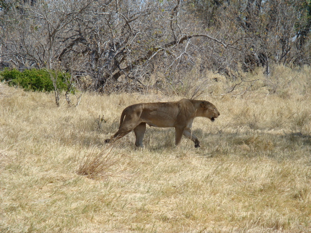 DSC00357_1