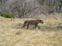 DSC00357_1