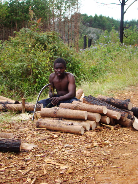 Zomba Plateau 1 (Malawi)
