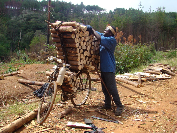 Zomba Plateau 2