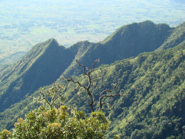 Zomba Plateau 6