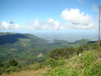 Zomba Plateau 5