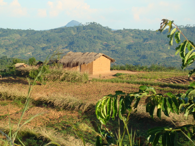 Malawische Berge 2