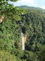 Livingstonia 6