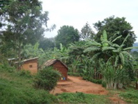 Lushoto