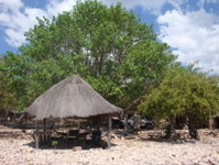 Lake Tanganyika 3