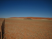 Aussicht von der D707